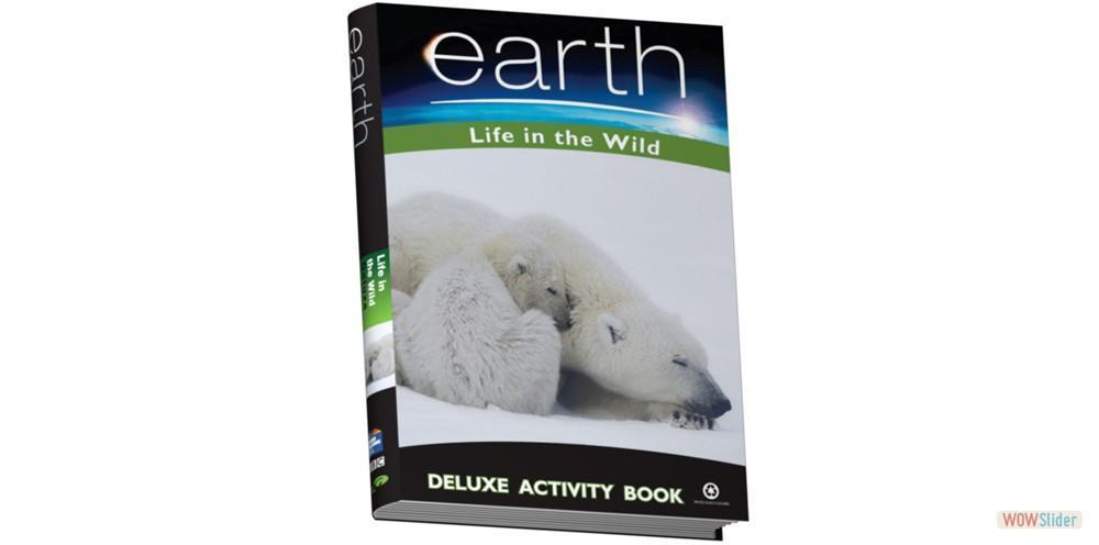 earth-polar-bears